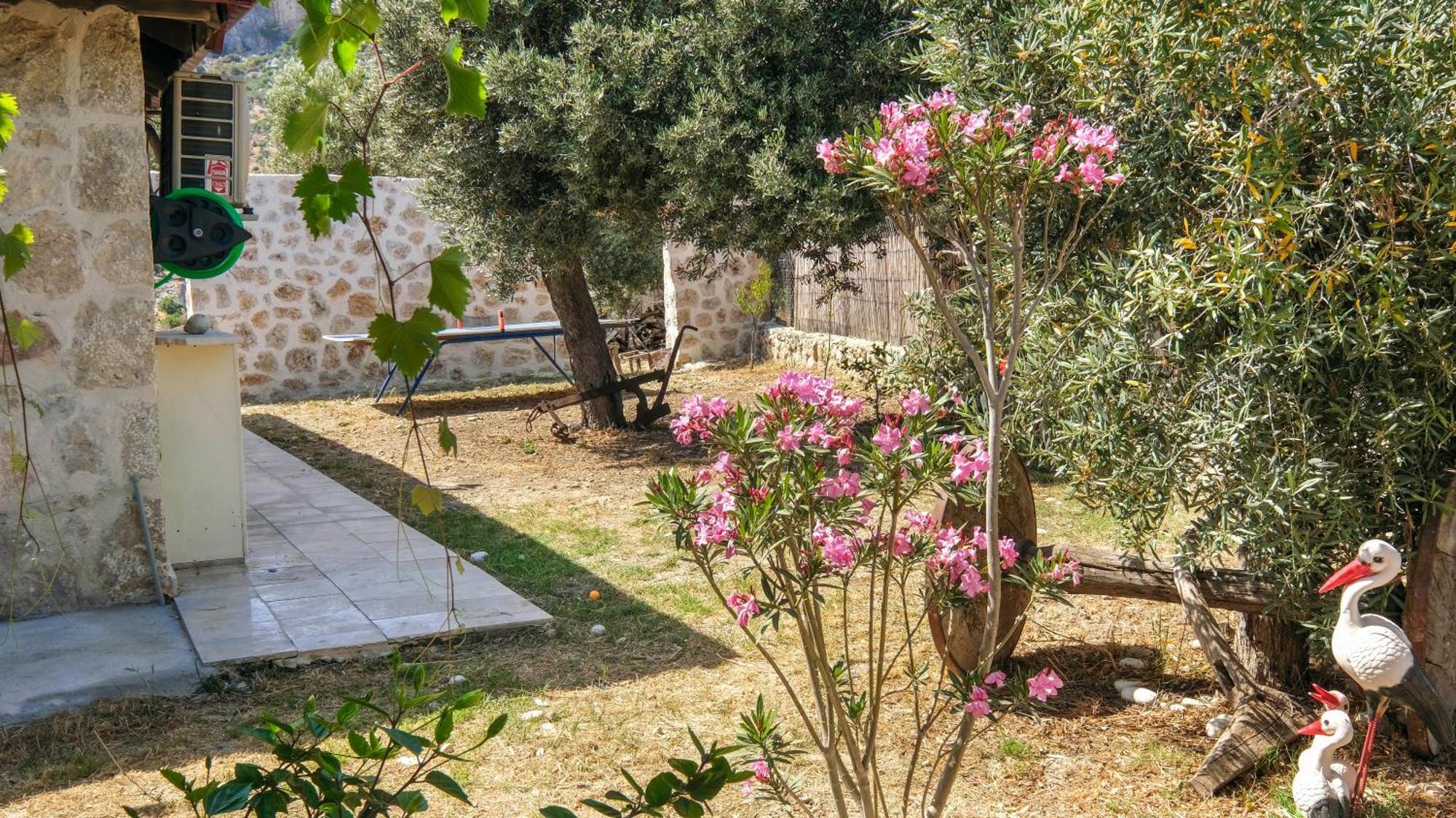 Villa Likya House - Deniz Ve Doga Manzarali, Havuzlu Patara Exterior foto