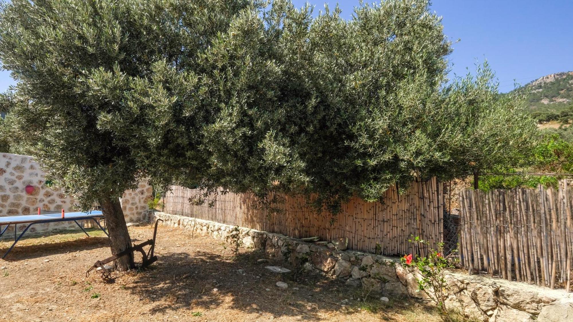 Villa Likya House - Deniz Ve Doga Manzarali, Havuzlu Patara Exterior foto